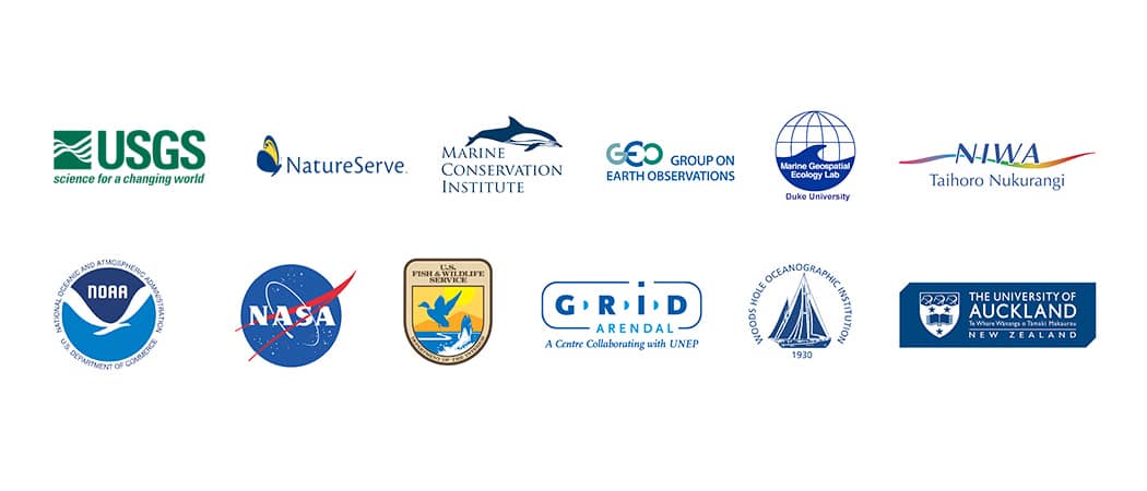 Esri Partners