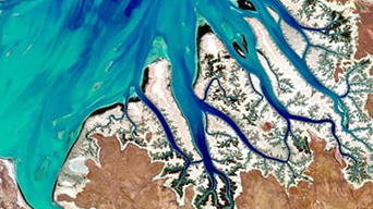 선명한 파란색, 초록색, 갈색으로 표시된 여러 지류가 있는 만의 항공 Landsat 뷰