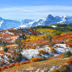 A snow-dusted wilderness plain dotted with autumn trees with snowy blue mountains in the distance beneath a clear blue sky